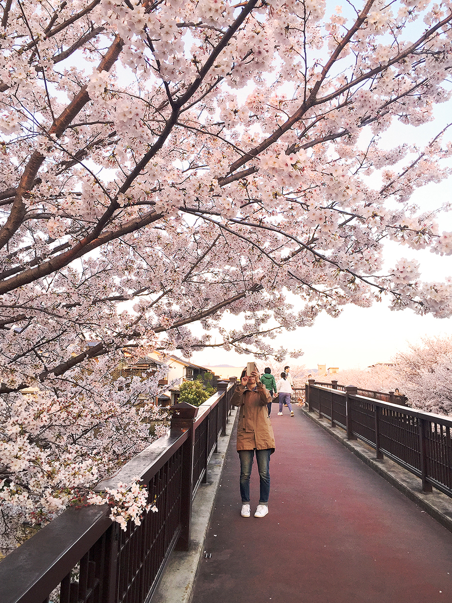 f:id:ikedaartplanet:20200406002141j:plain