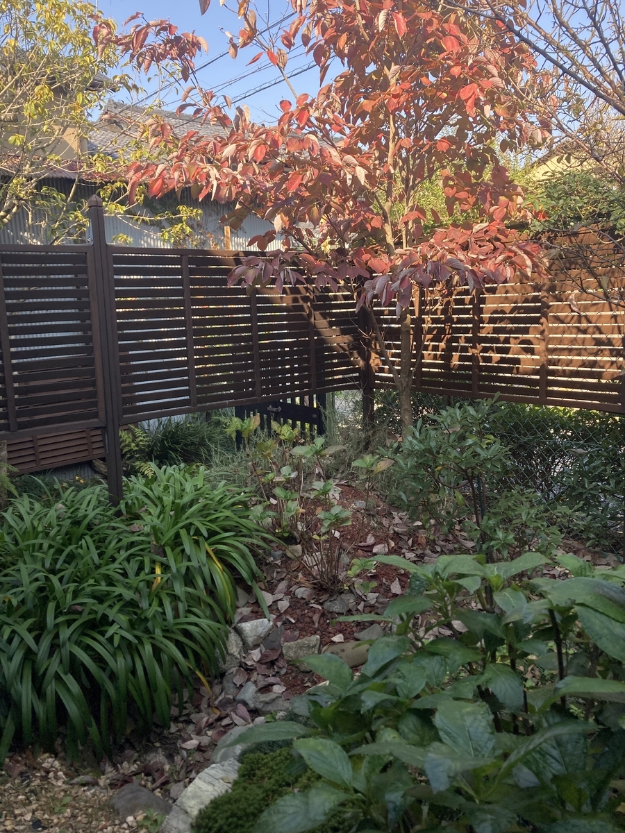 f:id:ikedaartplanet:20211115180209j:plain