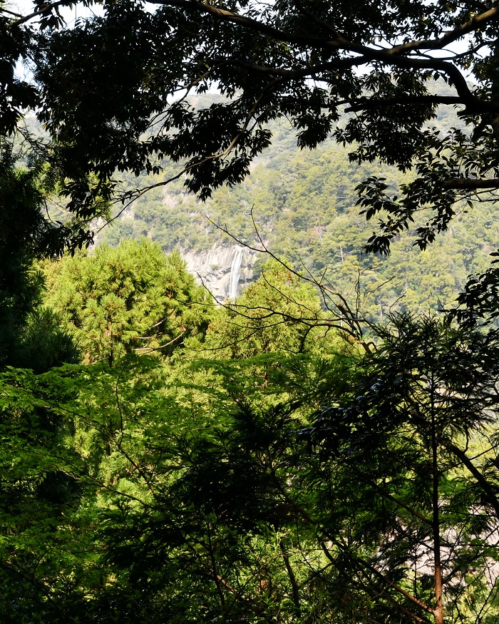 f:id:ikegon4547:20190415190622j:plain