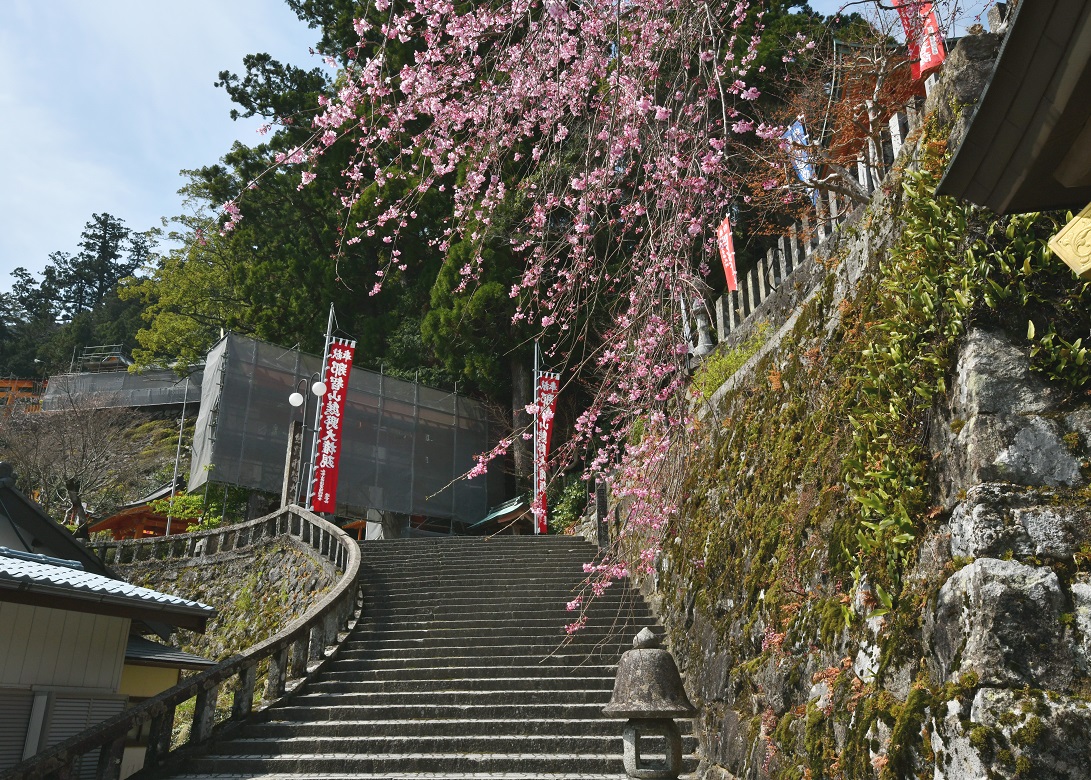 f:id:ikegon4547:20190415190742j:plain
