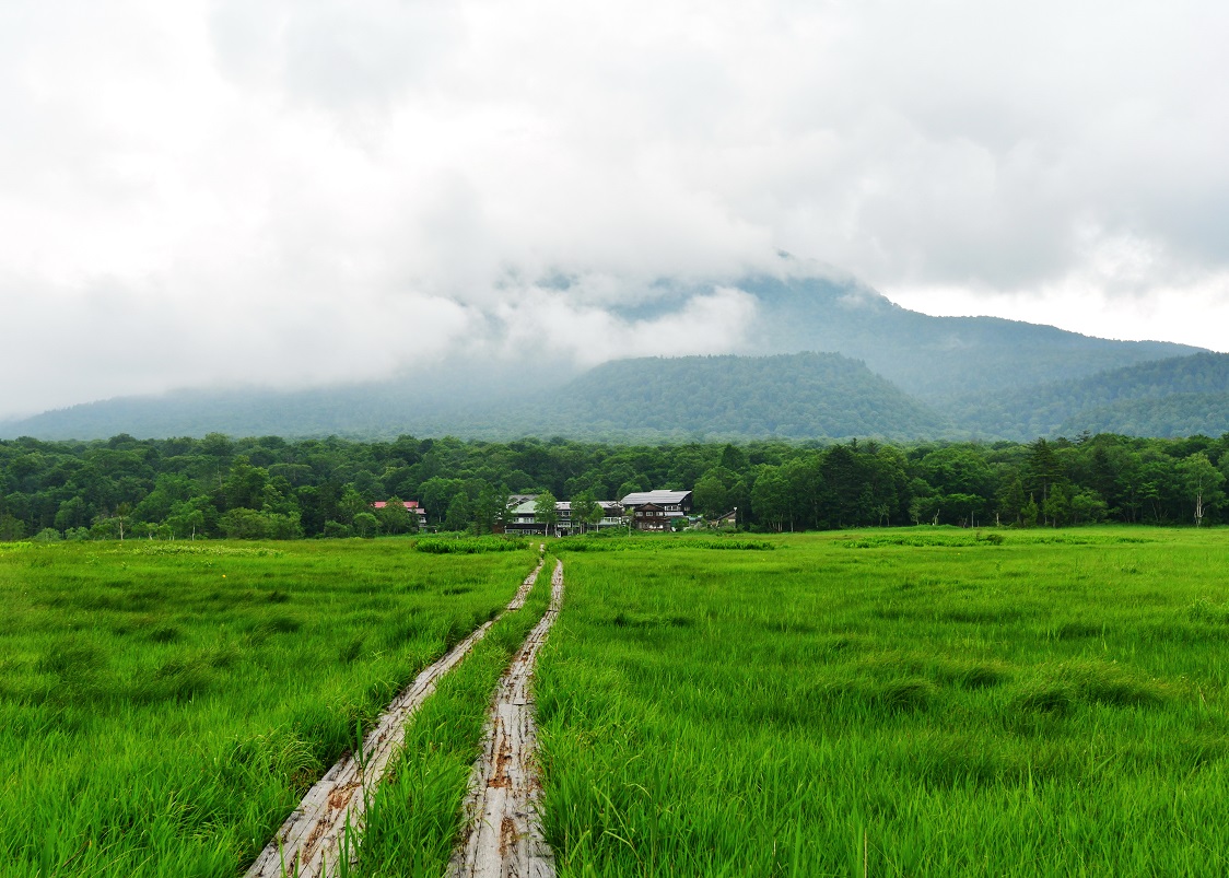 f:id:ikegon4547:20190727214910j:plain f:id:ikegon4547:20190727214910j:plain