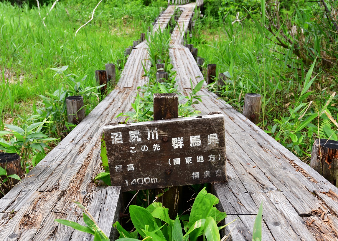 f:id:ikegon4547:20190729221433j:plain f:id:ikegon4547:20190729221433j:plain