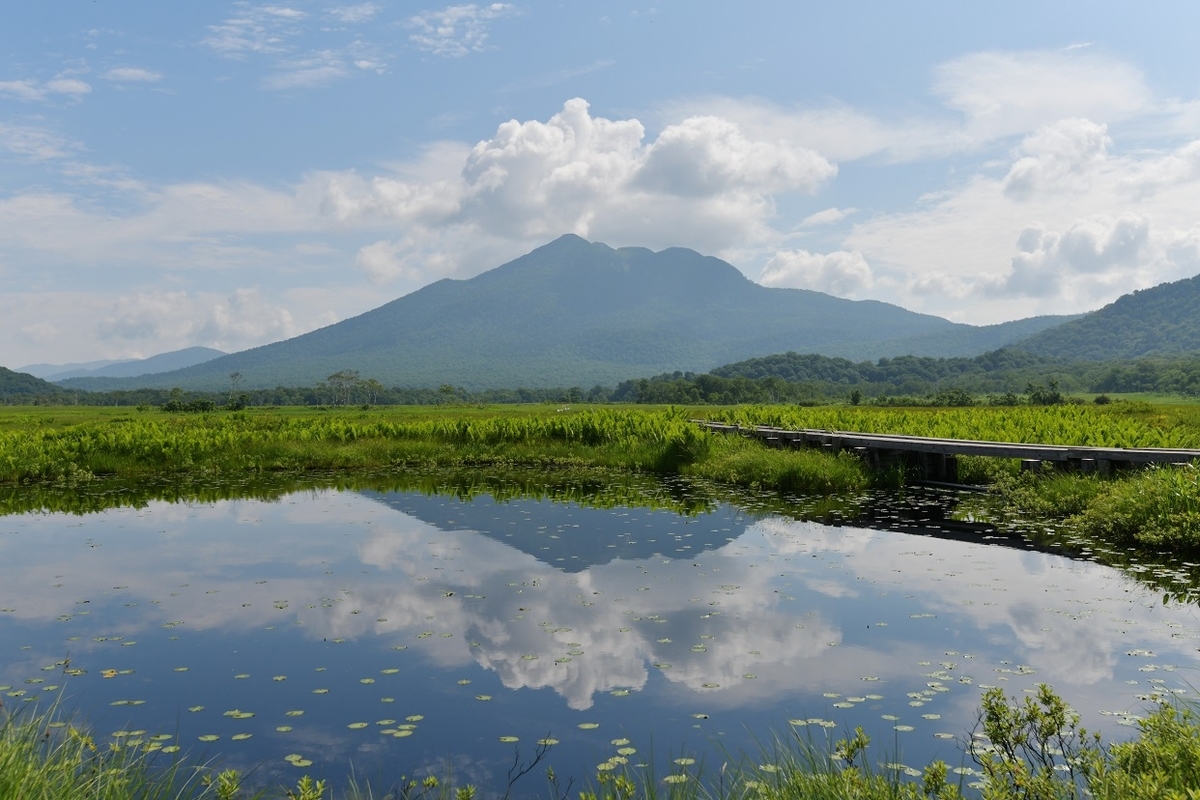 f:id:ikegon4547:20190729221728j:plain f:id:ikegon4547:20190729221728j:plain