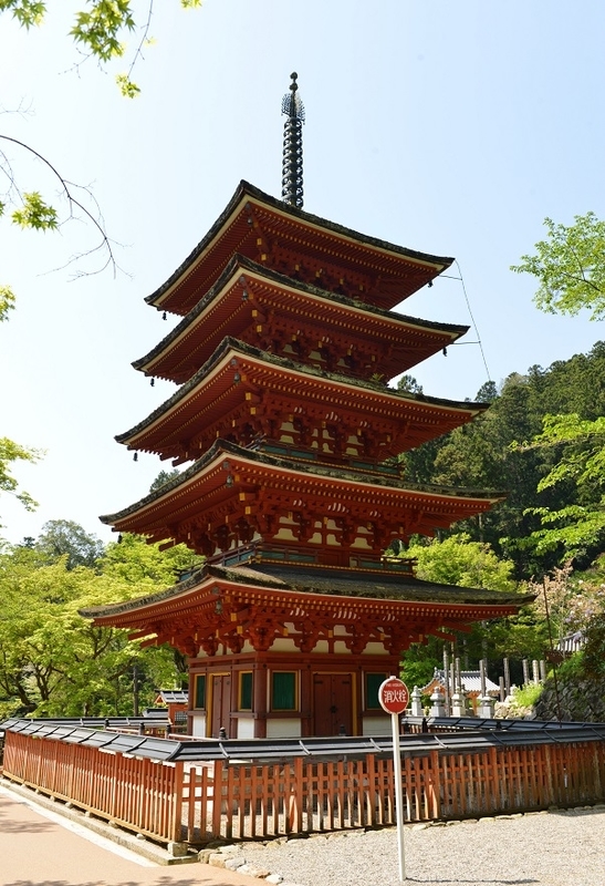 イメージ 15