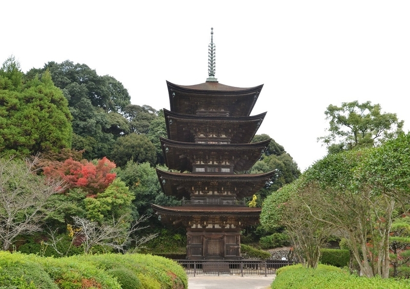 イメージ 9