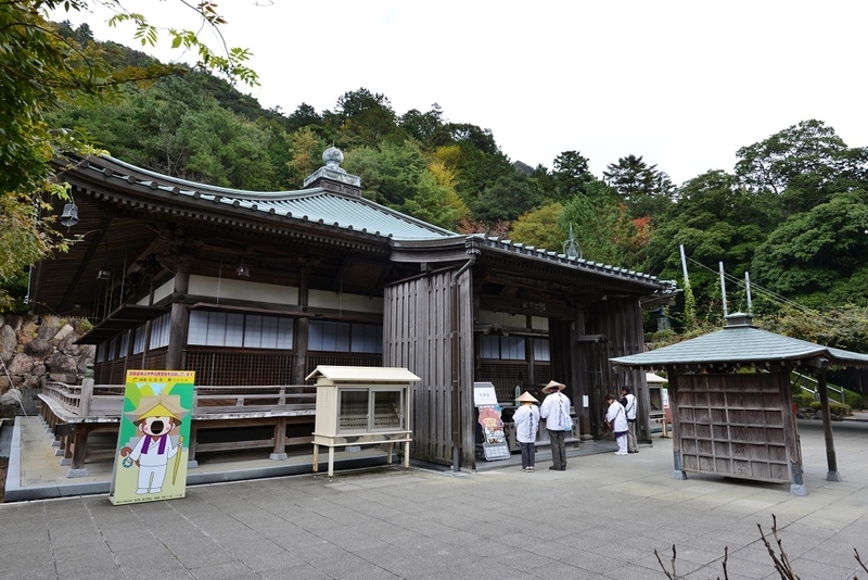 イメージ 6
