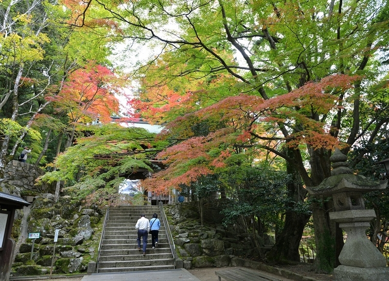 イメージ 10