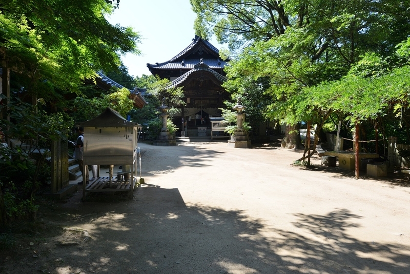 イメージ 4