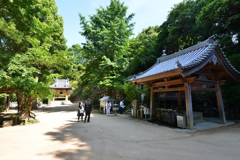 イメージ 5