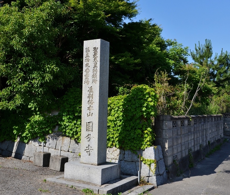 イメージ 7