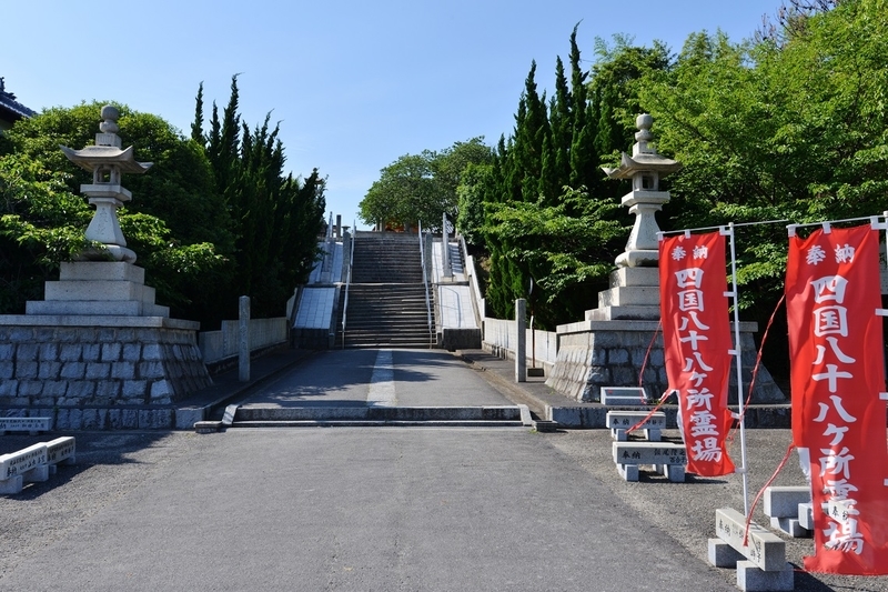 イメージ 8