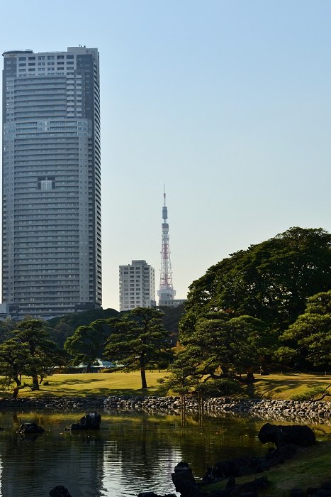 イメージ 7