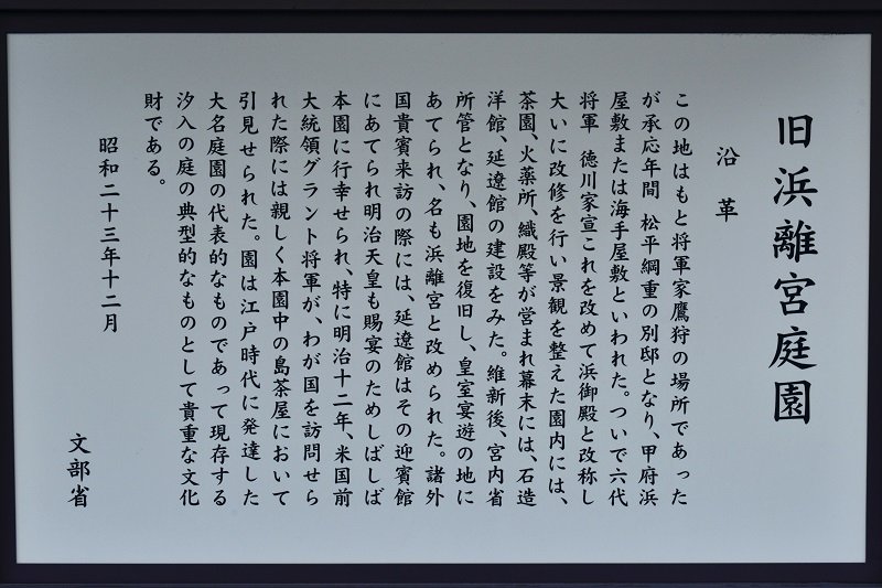 イメージ 8