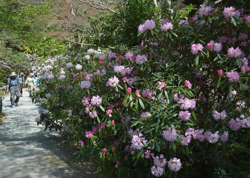 イメージ 10