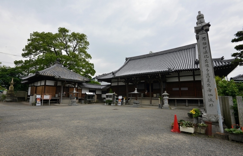 イメージ 8