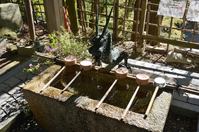 イメージ 6