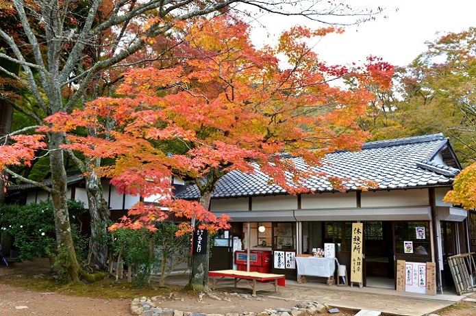 イメージ 5