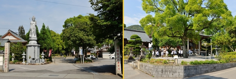 イメージ 11