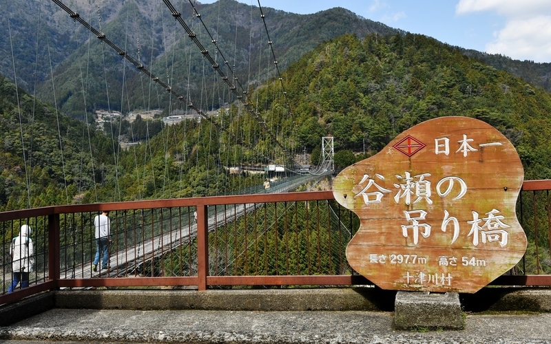 イメージ 6