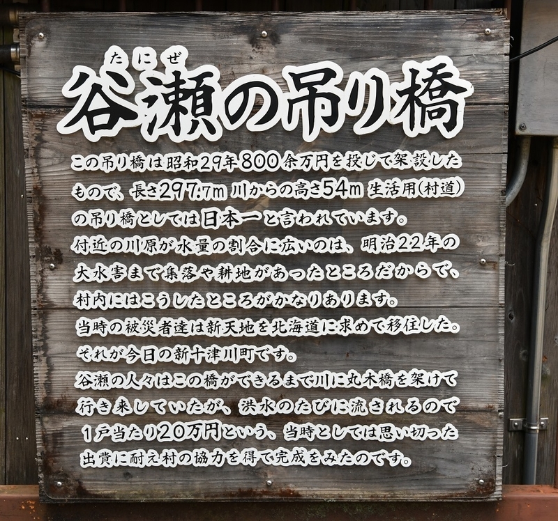 イメージ 7