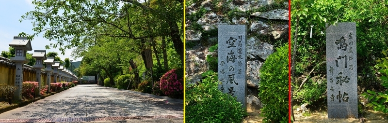 イメージ 11