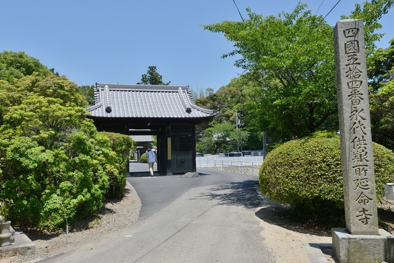 イメージ 10