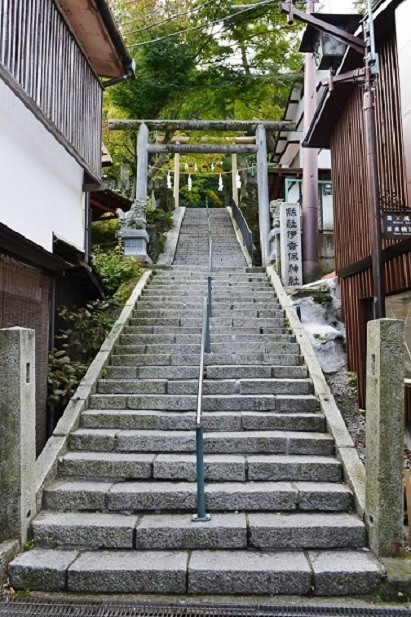 イメージ 5