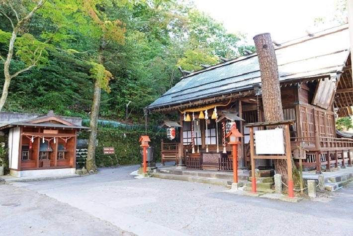 イメージ 6