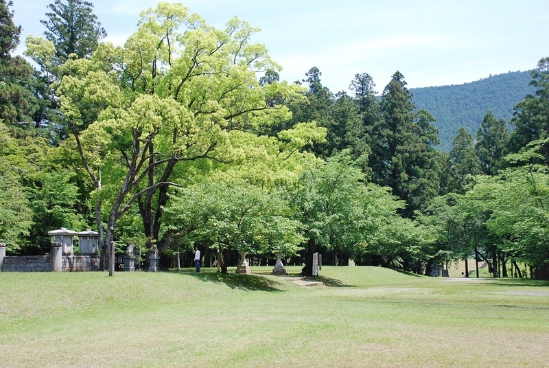イメージ 12