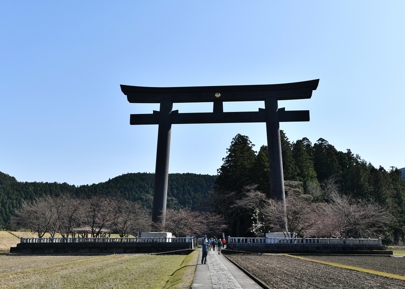 イメージ 6
