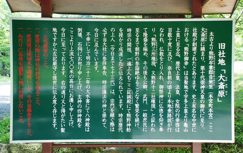 イメージ 7