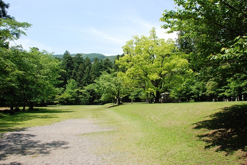 イメージ 10