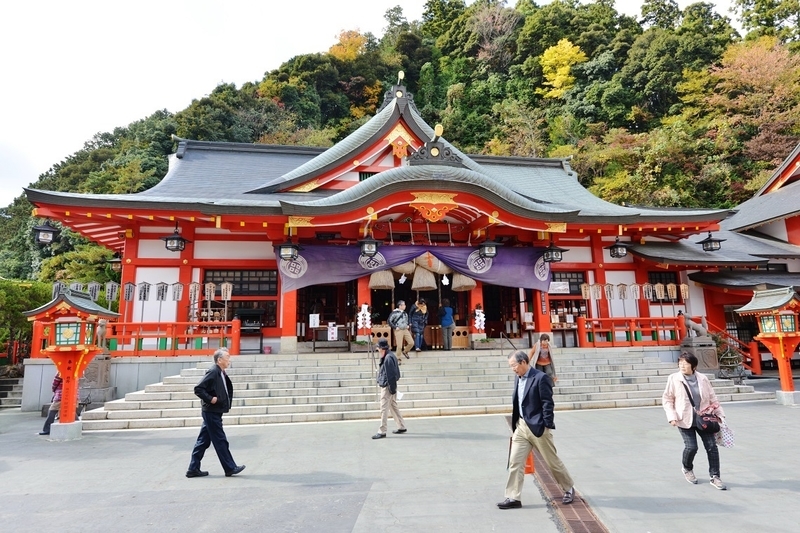 イメージ 8