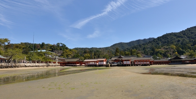 イメージ 5