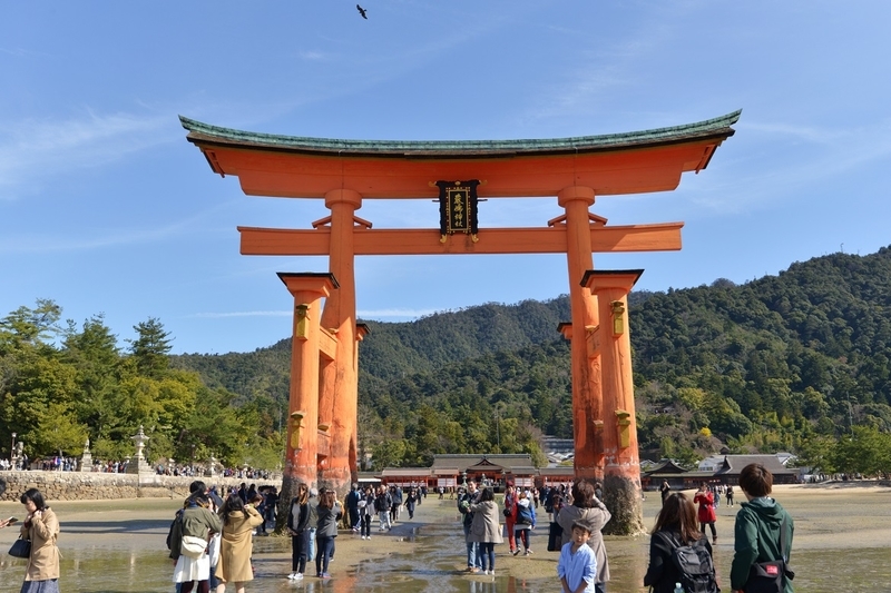 イメージ 7