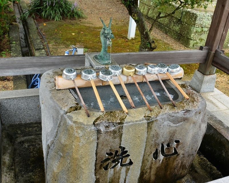 イメージ 5