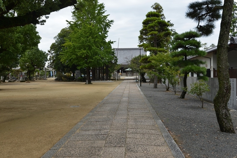 イメージ 4