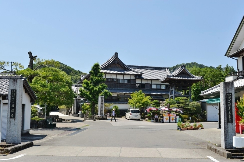 イメージ 7
