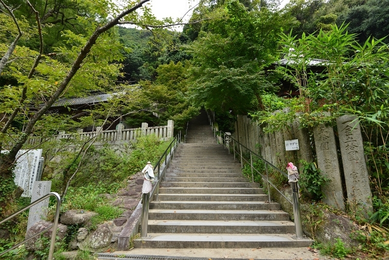 イメージ 11