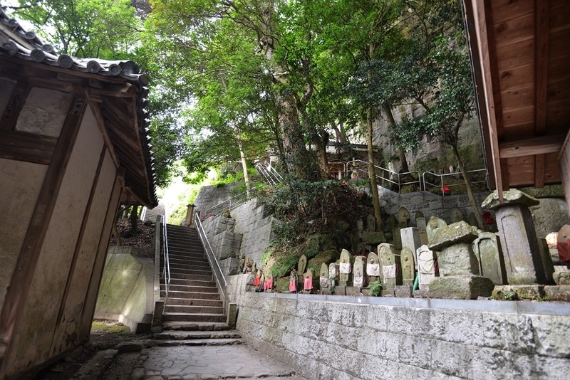 イメージ 12