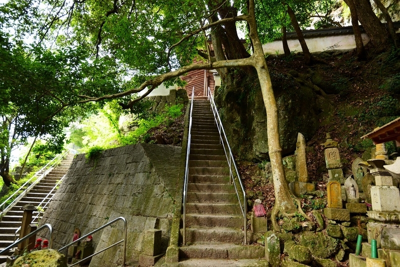 イメージ 13