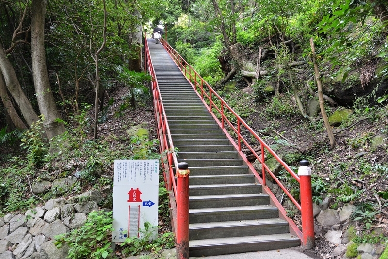 イメージ 8