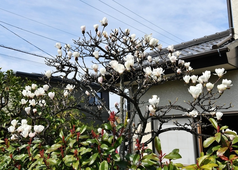 イメージ 9