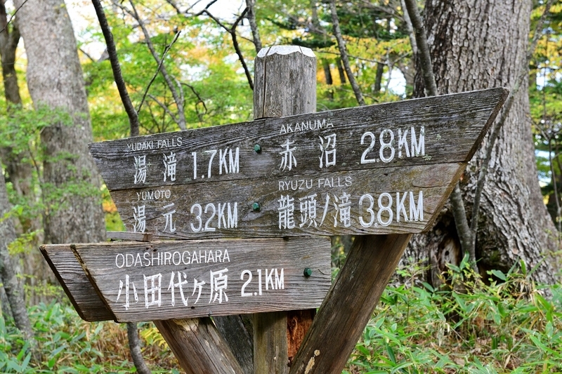 イメージ 10