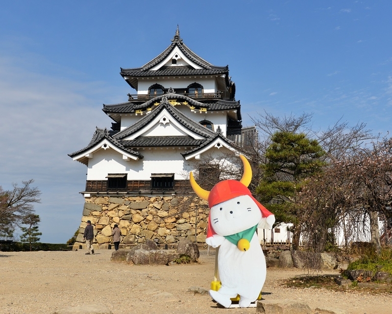 イメージ 8