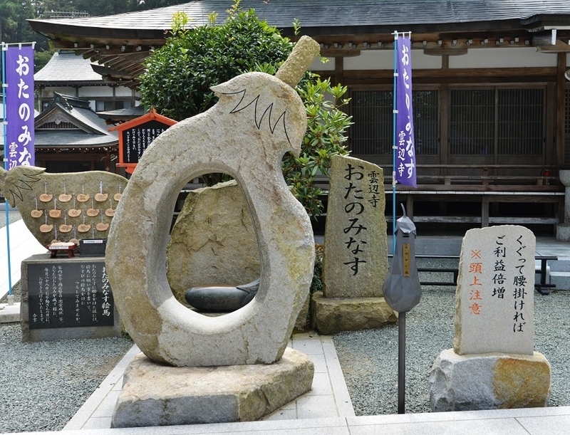 イメージ 12