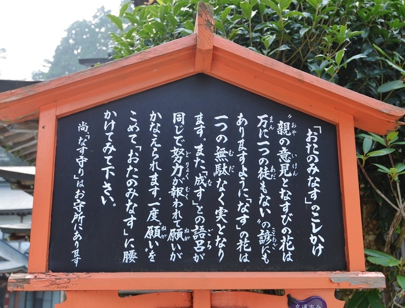 イメージ 13