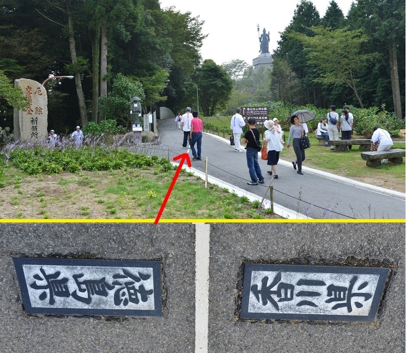 イメージ 5