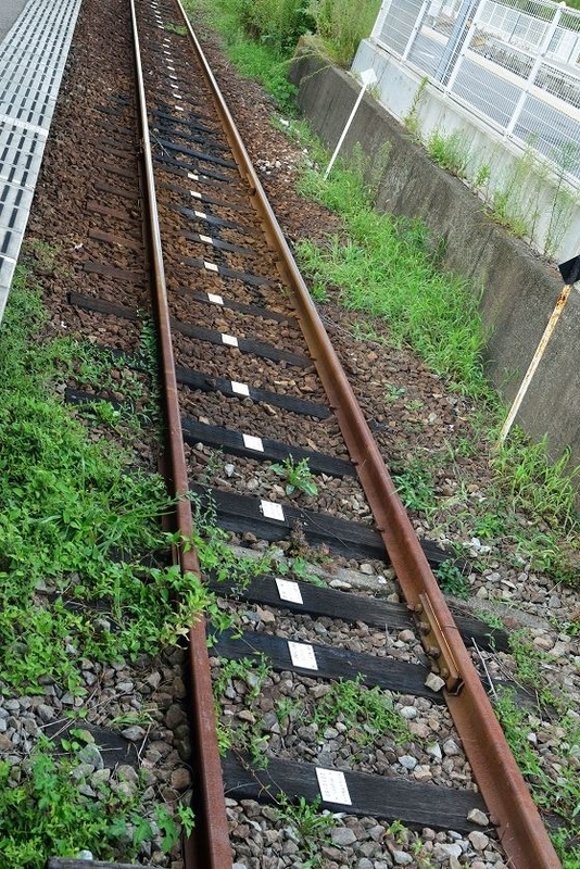 イメージ 6