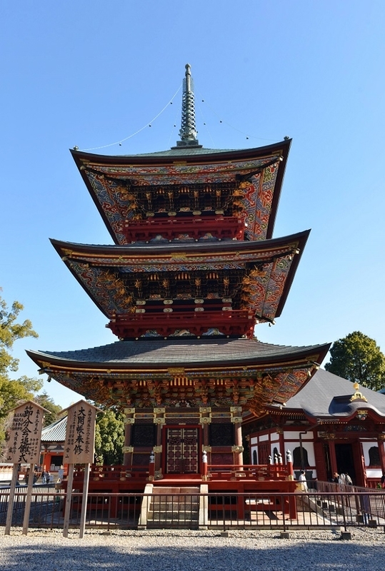 イメージ 7